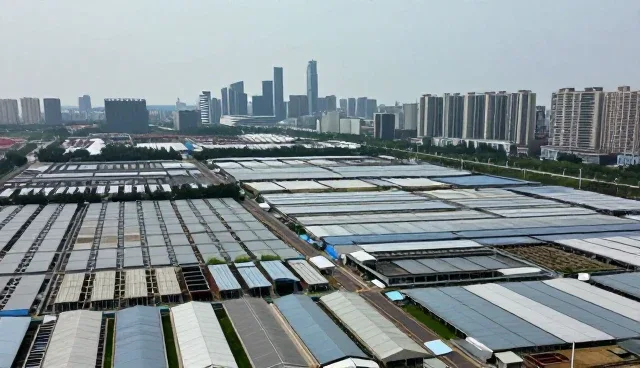 APP开发中性能优化与适用条件的现实考量